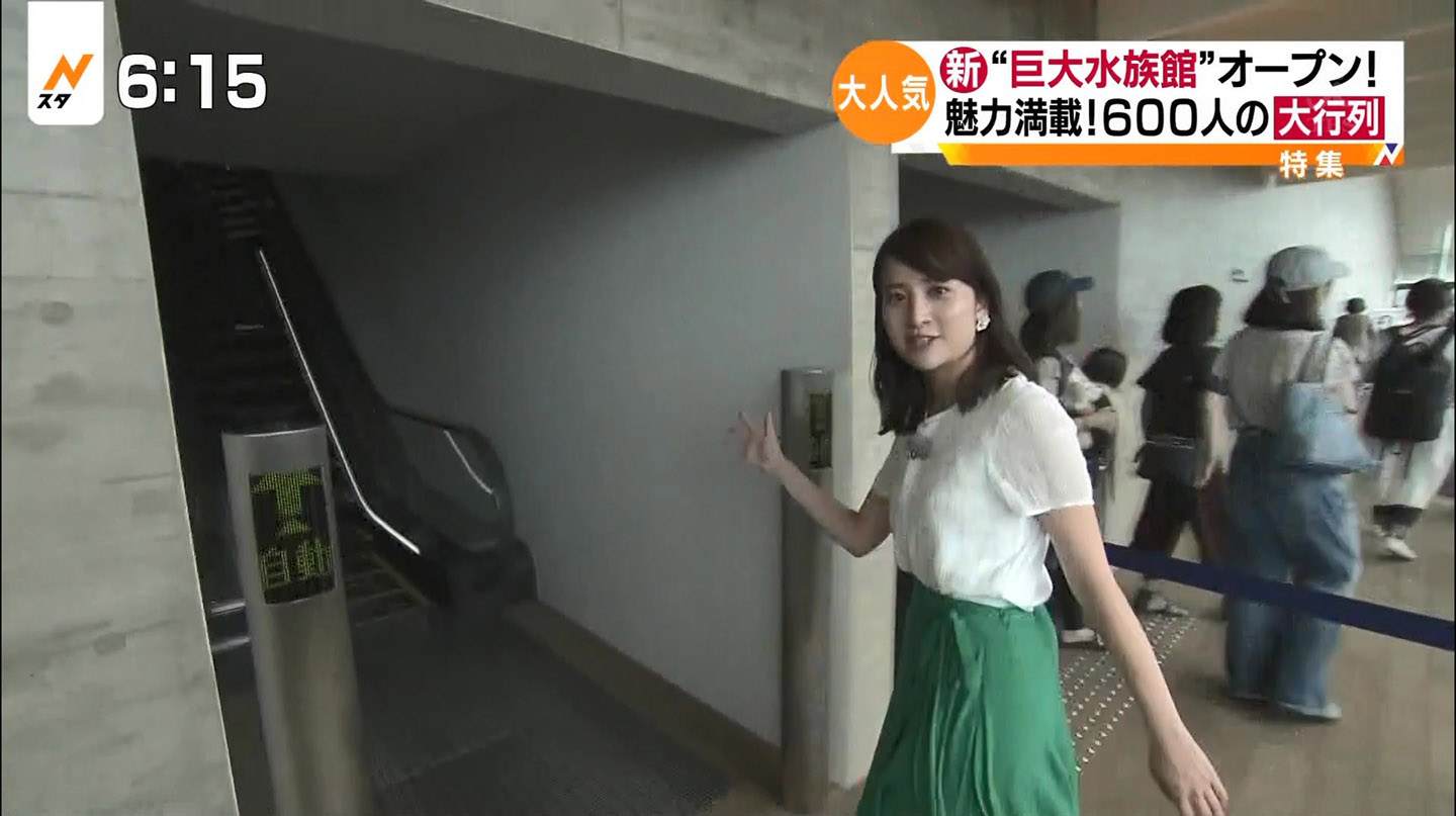 日比麻音子アナ　Nスタ　ひるおび！　報道特集　JNNフラッシュニュース